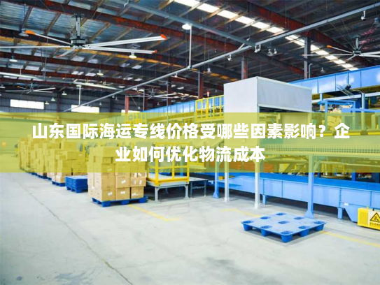 山东国际海运专线价格受哪些因素影响？企业如何优化物流成本