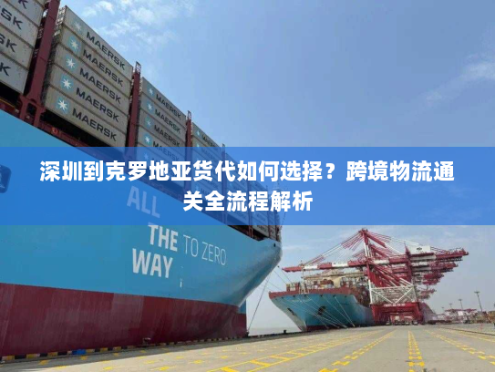 深圳到克罗地亚货代如何选择?跨境物流通关全流程解析 深圳到克罗地亚货代如何选择?跨境物流通关全流程解析
