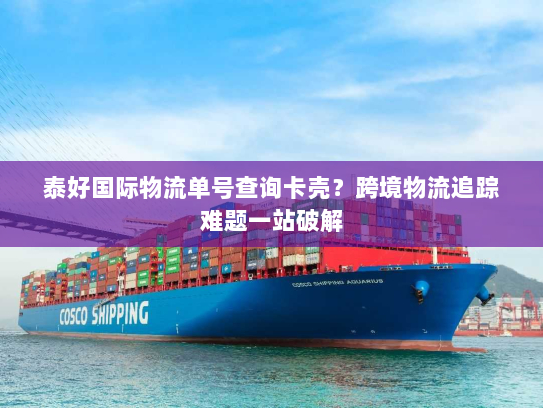 泰好国际物流单号查询卡壳?跨境物流追踪难题一站破解 泰好国际物流单号查询卡壳?跨境物流追踪难题一站破解
