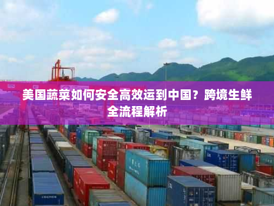 美国蔬菜如何安全高效运到中国？跨境生鲜全流程解析