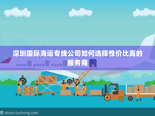 深圳国际海运专线公司如何选择性价比高的服务商 深圳国际海运专线公司如何选择性价比高的服务商