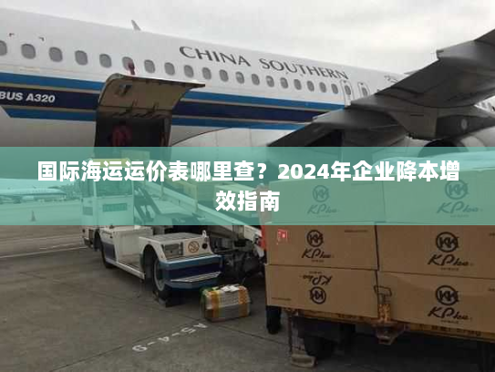 国际海运运价表哪里查?2024年企业降本增效指南 国际海运运价表哪里查?2024年企业降本增效指南