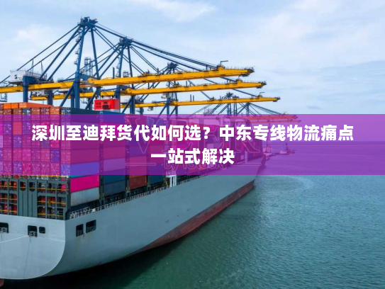 深圳至迪拜货代如何选?中东专线物流痛点一站式解决 深圳至迪拜货代如何选?中东专线物流痛点一站式解决