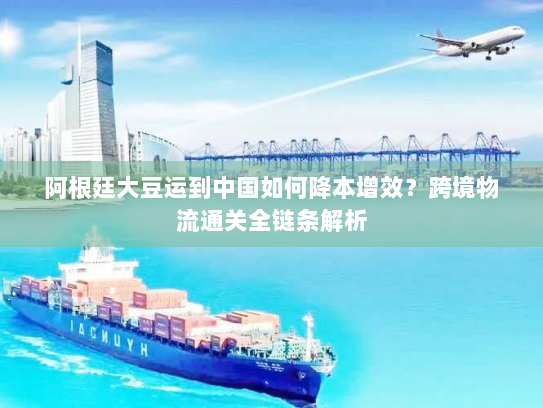 阿根廷大豆运到中国如何降本增效?跨境物流通关全链条解析 阿根廷大豆运到中国如何降本增效?跨境物流通关全链条解析
