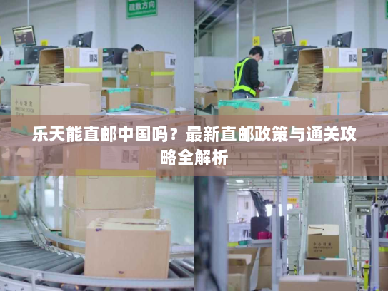 乐天能直邮中国吗?最新直邮政策与通关攻略全解析 乐天能直邮中国吗?最新直邮政策与通关攻略全解析