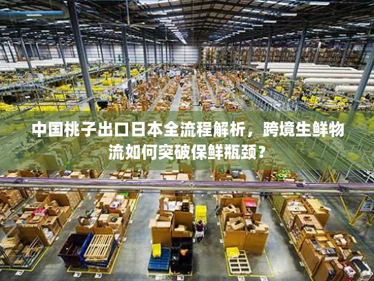 中国桃子出口日本全流程解析,跨境生鲜物流如何突破保鲜瓶颈? 中国桃子出口日本全流程解析,跨境生鲜物流如何突破保鲜瓶颈?