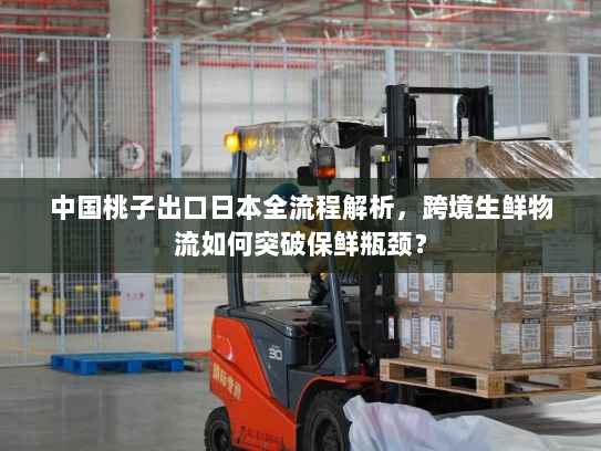 中国桃子出口日本全流程解析,跨境生鲜物流如何突破保鲜瓶颈? 中国桃子出口日本全流程解析,跨境生鲜物流如何突破保鲜瓶颈?