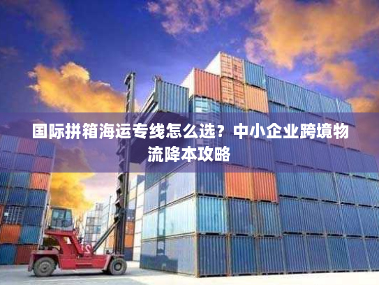 国际拼箱海运专线怎么选？中小企业跨境物流降本攻略