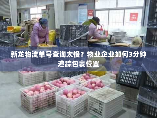 新龙物流单号查询太慢?物业企业如何3分钟追踪包裹位置 新龙物流单号查询太慢?物业企业如何3分钟追踪包裹位置