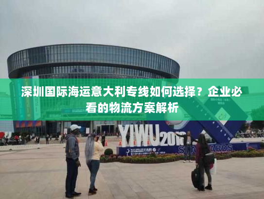 深圳国际海运意大利专线如何选择？企业必看的物流方案解析