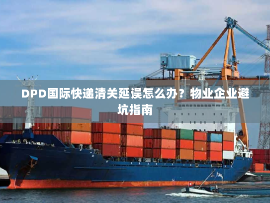 DPD国际快递清关延误怎么办？物业企业避坑指南