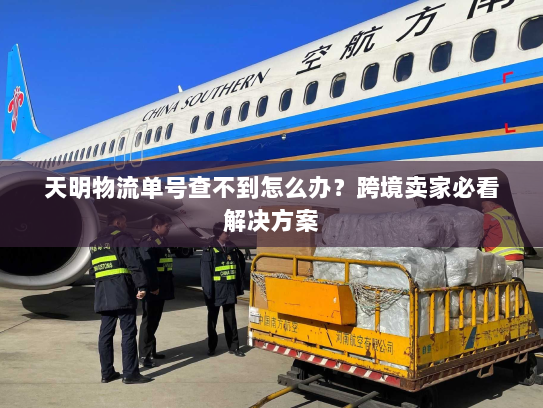 天明物流单号查不到怎么办?跨境卖家必看解决方案 天明物流单号查不到怎么办?跨境卖家必看解决方案