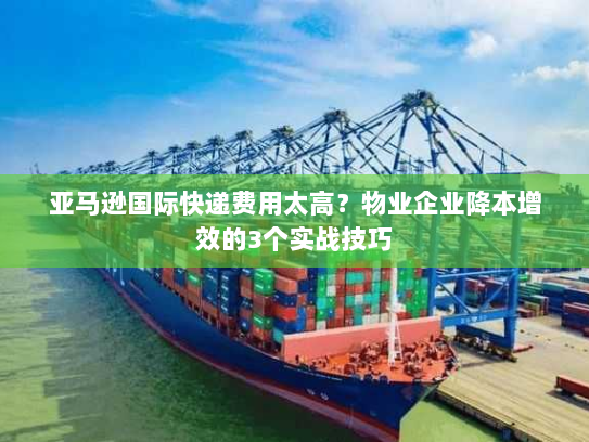 亚马逊国际快递费用太高?物业企业降本增效的3个实战技巧 亚马逊国际快递费用太高?物业企业降本增效的3个实战技巧