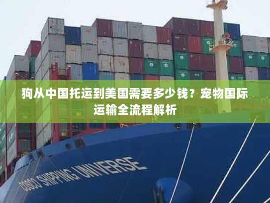 狗从中国托运到美国需要多少钱?宠物国际运输全流程解析 狗从中国托运到美国需要多少钱?宠物国际运输全流程解析