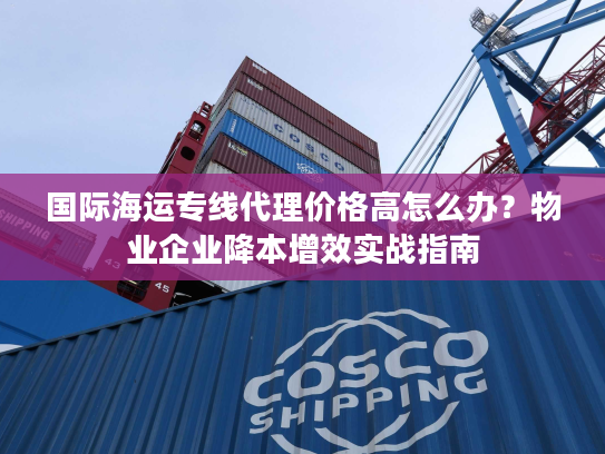 国际海运专线代理价格高怎么办?物业企业降本增效实战指南 国际海运专线代理价格高怎么办?物业企业降本增效实战指南