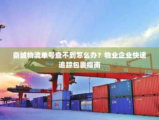 鼎城物流单号查不到怎么办？物业企业快速追踪包裹指南