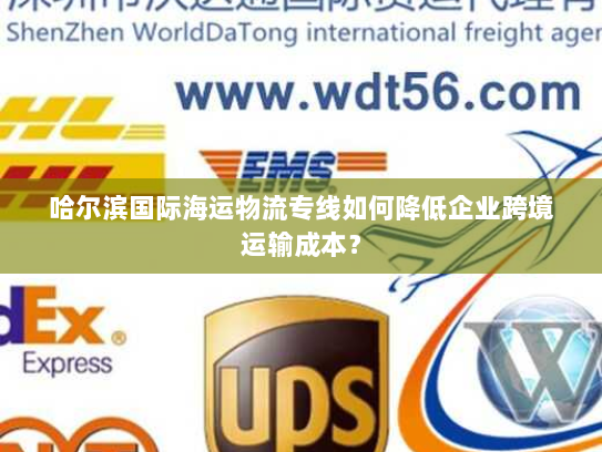 哈尔滨国际海运物流专线如何降低企业跨境运输成本? 哈尔滨国际海运物流专线如何降低企业跨境运输成本?