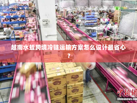 越南水蛭跨境冷链运输方案怎么设计最省心？
