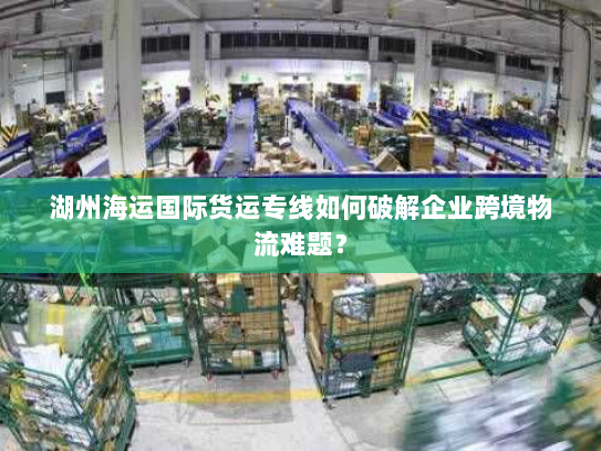 湖州海运国际货运专线如何破解企业跨境物流难题？