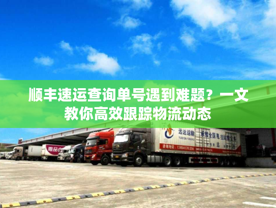 顺丰速运查询单号遇到难题？一文教你高效跟踪物流动态