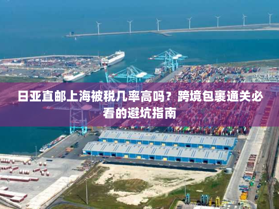 日亚直邮上海被税几率高吗?跨境包裹通关必看的避坑指南 日亚直邮上海被税几率高吗?跨境包裹通关必看的避坑指南