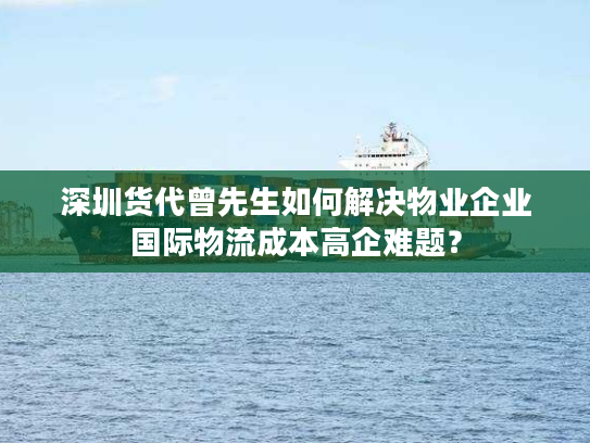 深圳货代曾先生如何解决物业企业国际物流成本高企难题？