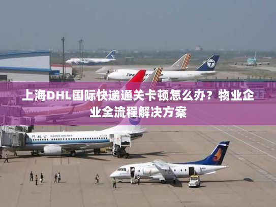 上海DHL国际快递通关卡顿怎么办？物业企业全流程解决方案
