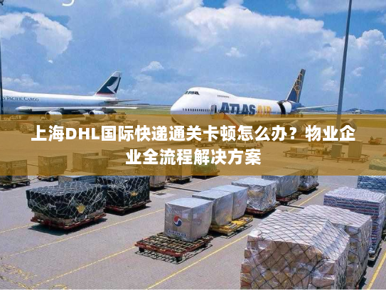 上海DHL国际快递通关卡顿怎么办？物业企业全流程解决方案