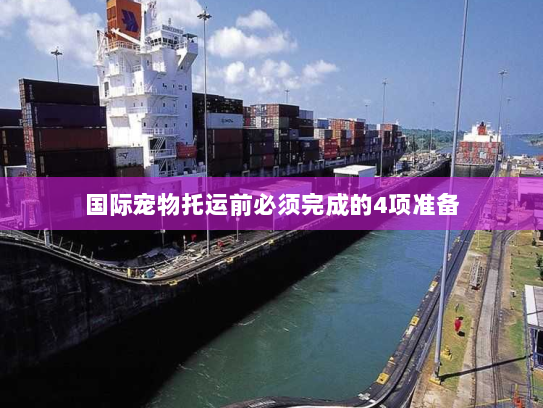 国际宠物托运前必须完成的4项准备 国际宠物托运前必须完成的4项准备