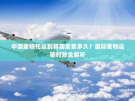 中国宠物托运到韩国需要多久？国际宠物运输时效全解析