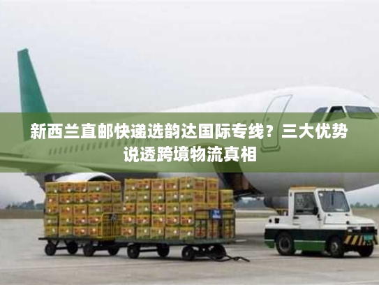 新西兰直邮快递选韵达国际专线?三大优势说透跨境物流真相 新西兰直邮快递选韵达国际专线?三大优势说透跨境物流真相