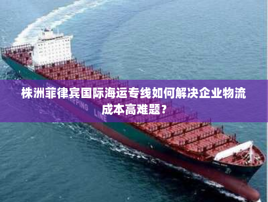 株洲菲律宾国际海运专线如何解决企业物流成本高难题？