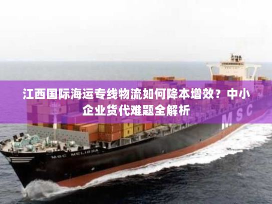 江西国际海运专线物流如何降本增效?中小企业货代难题全解析 江西国际海运专线物流如何降本增效?中小企业货代难题全解析