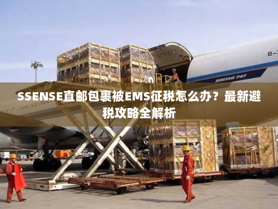 SSENSE直邮包裹被EMS征税怎么办？最新避税攻略全解析