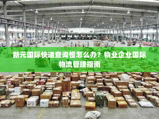 新元国际快递查询慢怎么办？物业企业国际物流管理指南
