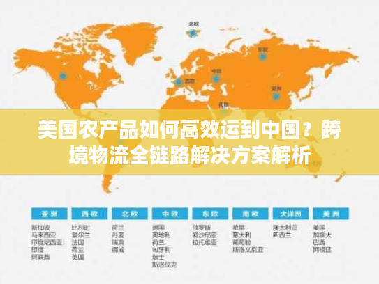 美国农产品如何高效运到中国?跨境物流全链路解决方案解析 美国农产品如何高效运到中国?跨境物流全链路解决方案解析