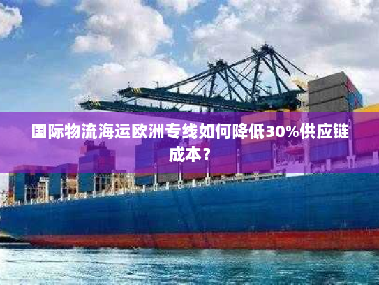 国际物流海运欧洲专线如何降低30%供应链成本? 国际物流海运欧洲专线如何降低30%供应链成本?