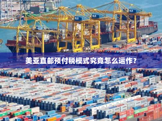 美亚直邮预付税模式究竟怎么运作? 美亚直邮预付税模式究竟怎么运作?