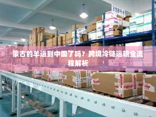 蒙古的羊运到中国了吗?跨境冷链运输全流程解析 蒙古的羊运到中国了吗?跨境冷链运输全流程解析