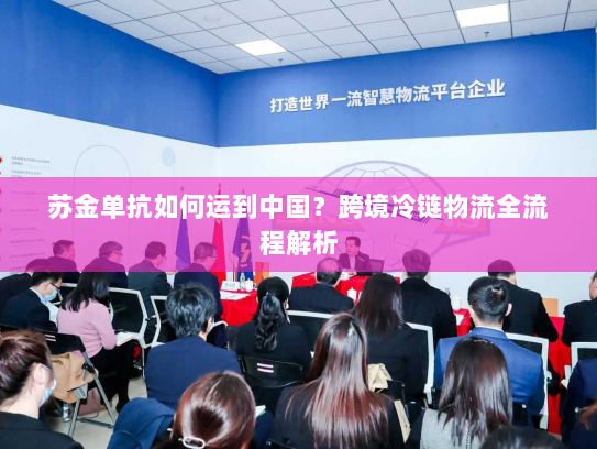 苏金单抗如何运到中国?跨境冷链物流全流程解析 苏金单抗如何运到中国?跨境冷链物流全流程解析