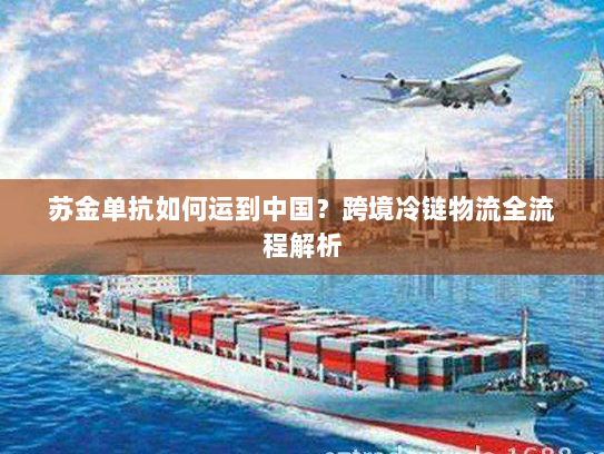 苏金单抗如何运到中国?跨境冷链物流全流程解析 苏金单抗如何运到中国?跨境冷链物流全流程解析