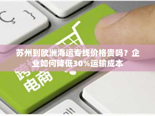 苏州到欧洲海运专线价格贵吗？企业如何降低30%运输成本