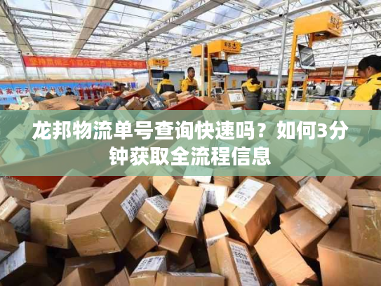 龙邦物流单号查询快速吗?如何3分钟获取全流程信息 龙邦物流单号查询快速吗?如何3分钟获取全流程信息