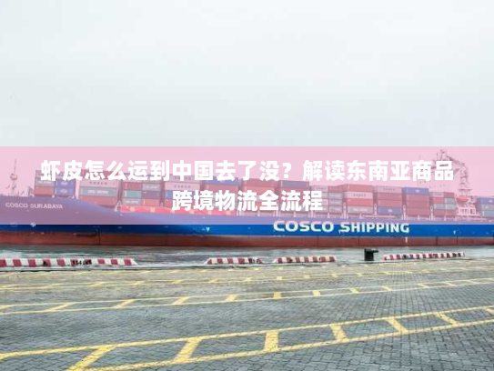 虾皮怎么运到中国去了没？解读东南亚商品跨境物流全流程
