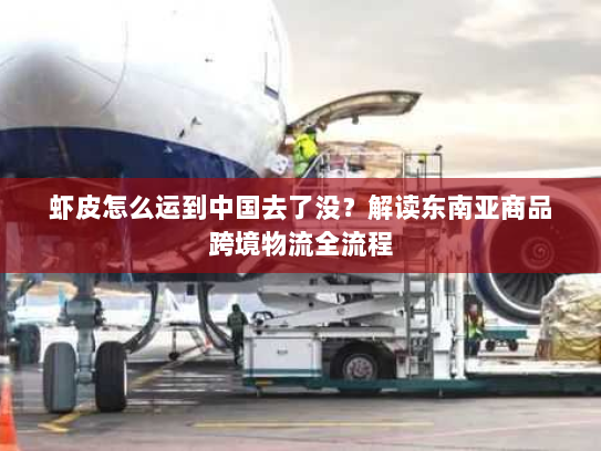 虾皮怎么运到中国去了没?解读东南亚商品跨境物流全流程 虾皮怎么运到中国去了没?解读东南亚商品跨境物流全流程