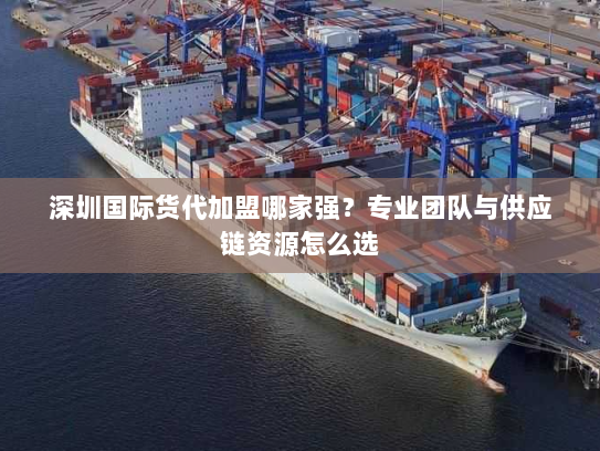 深圳国际货代加盟哪家强?专业团队与供应链资源怎么选 深圳国际货代加盟哪家强?专业团队与供应链资源怎么选