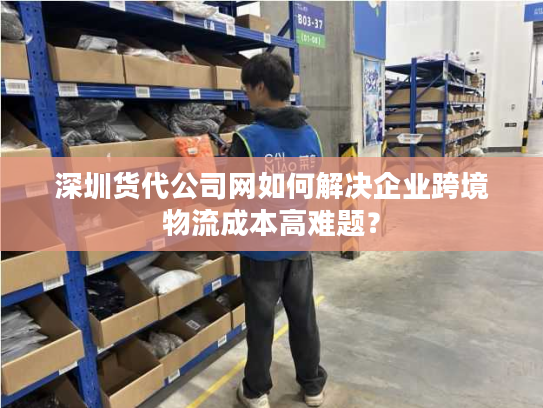 深圳货代公司网如何解决企业跨境物流成本高难题？