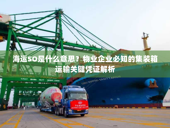 海运SO是什么意思?物业企业必知的集装箱运输关键凭证解析 海运SO是什么意思?物业企业必知的集装箱运输关键凭证解析