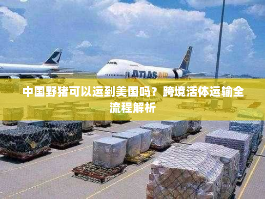 中国野猪可以运到美国吗?跨境活体运输全流程解析 中国野猪可以运到美国吗?跨境活体运输全流程解析