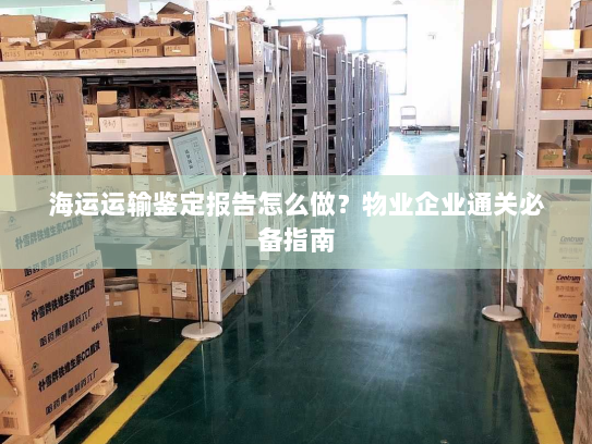 海运运输鉴定报告怎么做?物业企业通关必备指南 海运运输鉴定报告怎么做?物业企业通关必备指南